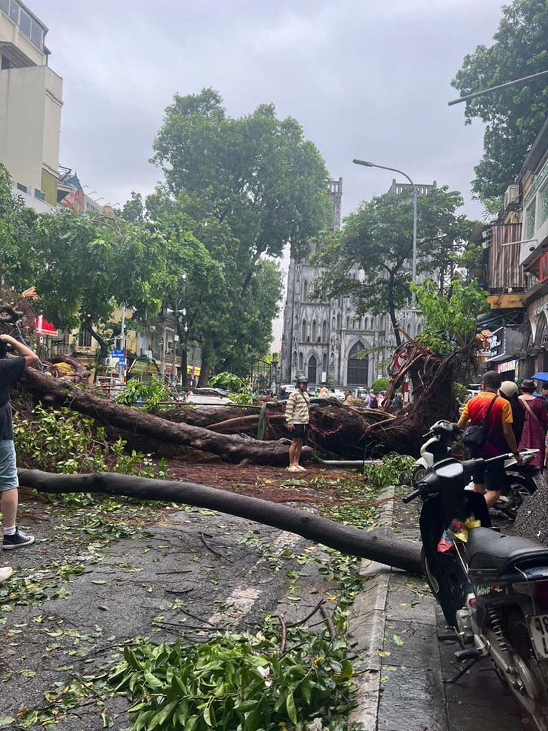 Typhoon season in Vietnam